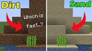 Where Sugercane Grows Faster?  🤔  Sand VS Dirt 🔥Minecraft #Myth2