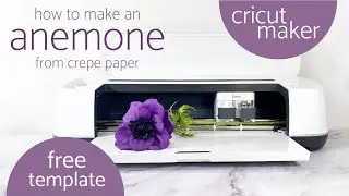 Make Beautiful Anemones Using Crepe Paper and Cricut Maker