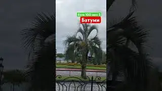 Батуми Порт яхта 100 млн $