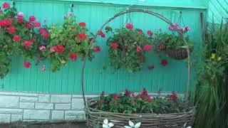 Украшаю  улицу  деревни Сороки 2020год