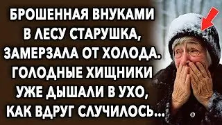 Старушка в лесу, замерзала от холода, как вдруг случилось нечто…