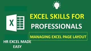 Excel Skill For Professionals - Managing The Excel Page Layout