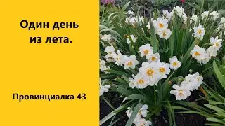02. 06. 2022  Один из дней лета.