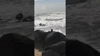 Praia do Canidelo - Vila Nova de Gaia 🇵🇹 
