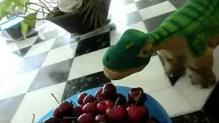 The Cute Pleo In The Kitchen!