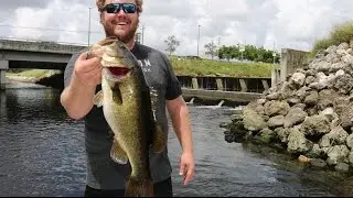 We Crashed the Boat! (Hillsboro Canal Snakeheads and Bass)
