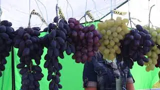 СТЕНД ХУДОЛЕЯ АЛЕКСАНДРА И КАЛУГИНА ВИКТОРА
