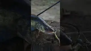РЫБОЛОВНЫЙ БЛОГ. Андрей Найденов