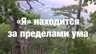 8.1 Я есть То. Я находится за пределами ума. Нисаргадатта Махарадж