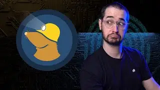 Should You Use Mullvad VPN in 2021? IS it the best?