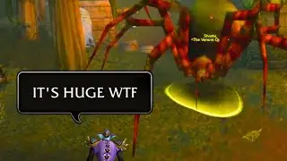 Classic Hardcore Moments 