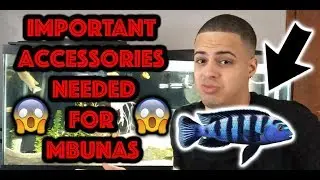 How to Clean a Fish Tank - African Cichlid - Mbunas ✔