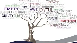 Why Emotional Intelligence is Important in the Workplace Colleen Stanley