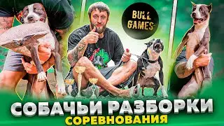 ПИТБУЛЬ ДЖЕС НА СОРЕВНОВАНИЯХ BULL GAMES 2023. СОБАКИ И ПРЫЖКИ.