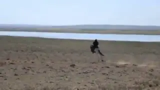 Тыва. Эмдик