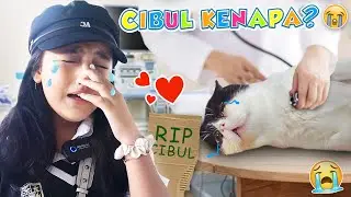 DINAR NANGIS, MAMATA PANIK‼️ CIBUL KENAPA?😱😭 