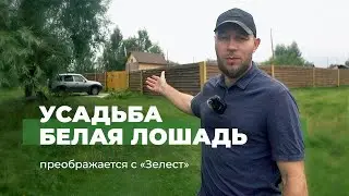 Преображение Усадьбы Белая Лошадь 