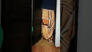 Фокус