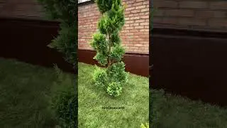 Как вам наш проект на не большом дворе ?