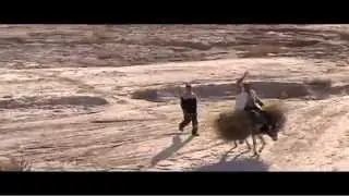 Rallye Aicha des Gazelles