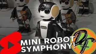Amazing Mini Robot Symphony in Japan!