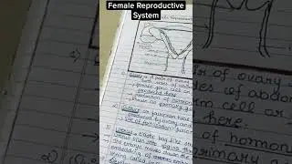 📝NOTES-FEMALE REPRODUCTIVE SYSTEM 🦋