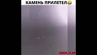 Камень прилетел в бампер😂#shorts