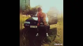 #гордая #смелая #сильная #сильнаямотивация #дорога #лето #fox #love