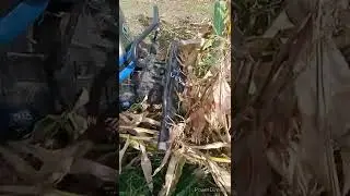 захистна дуга (кенгурятнік) в роботі