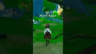 Genshin mains throughout the ranks