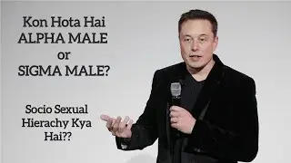 Alpha Male or Sigma Male Kya Hota Hai - Socio Sexual Hierarchy Explained