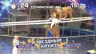 Сочинский цирк. Звездный круиз.