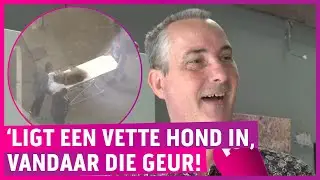 Juvi woont naast dierencrematorium: ‘Je ruikt het verschroeien!’