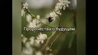 Пророчества о будущем.