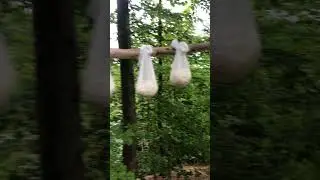 Топчино — село в Солотвинській селищній громаді Тячівського району Закарпатської області