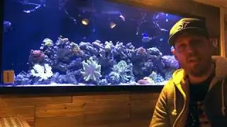 Introduction to Saltwater Ambitions