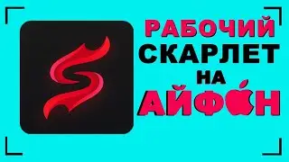 How to download Scarlett on iPhone | Scarlett on iPhone | Install Scarlett on iPhone
