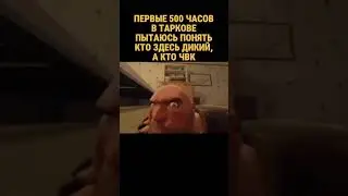 КАК ПОНЯТЬ КТО ДИКИЙ, А КТО ЧВК В ТАРКОВЕ 