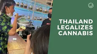 Thailand Legalizes Cannabis - Jorge Cervantes interview with Ryan Doran