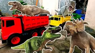 Mencari Mainan Dan Menemukan Banyak Mainan Hewan Dinosaurus, Harimau, Zebra, Badak, buaya