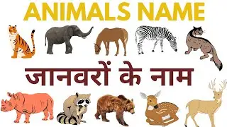 Animals Name Hindi and English - जानवरों के नाम #animals #animalsname