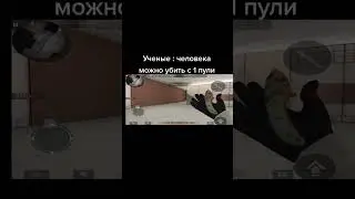 Жиза 