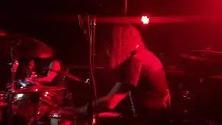 Live With Militia Vox