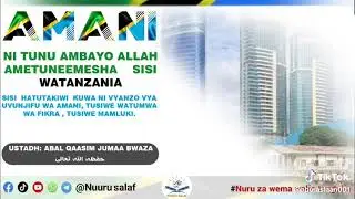 11 May 2025