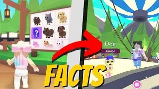 5 Adopt Me Facts You Didn't Know