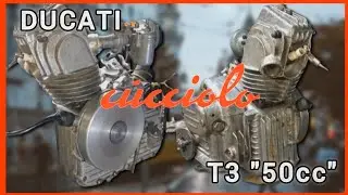 Ducati CUCCIOLO T3 