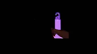 Phasmofobia