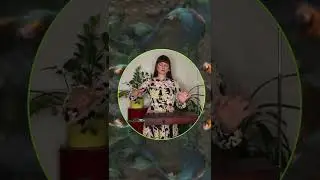 alia - birds of paradise - theremin