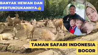 Ke TAMAN SAFARI INDONESIA BOGOR | Jalan-jalan Melihat dan Kasih Makan Satwa ❗