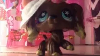 lps mv: the potential breakup song